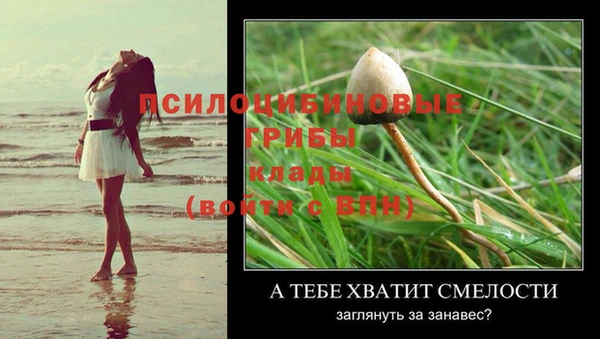 герыч Аркадак