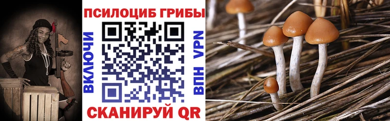 Псилоцибиновые грибы прущие грибы  Россошь 